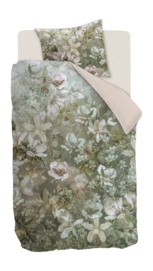 7---326503_10-_no-bg