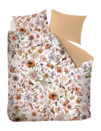 5---326549_10-_no-bg
