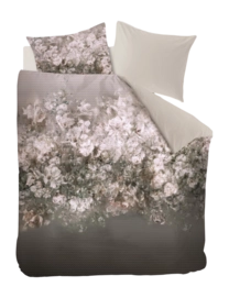6---326558_10-_no-bg