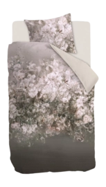 7---326557_10-_no-bg