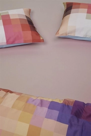 3---250888_0