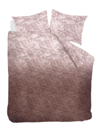 3---326759_10-_no-bg