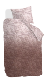 4---326758_10-_no-bg
