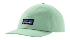 Pet Patagonia Unisex P-6 Label Trad Cap Rinsed Green