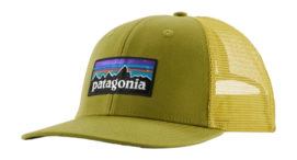 Cap Patagonia Unisex P-6 Logo Trucker Hat Graze Green