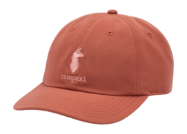 Pet Cotopaxi Dad Hat Faded Brick