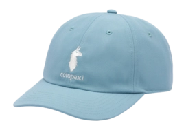 Pet Cotopaxi Dad Hat Sea Spray