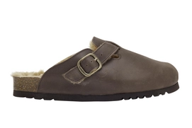Clog Scholl Women Fae New F Leather Coffee