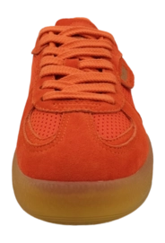 5---398824_01_fv-_no-bg