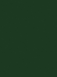 4---FW24_Fabric_darkgreen