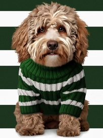 7---FW24_Fabric_labradoodle