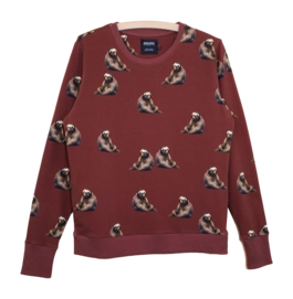 Pull SNURK Femme Sloth
