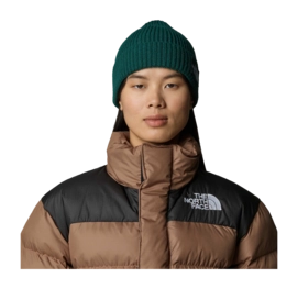 2---TNF-Logo-Box-Cuffed-Beanie (1)-_no-bg