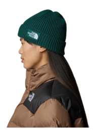 4---TNF-Logo-Box-Cuffed-Beanie (3)-_no-bg