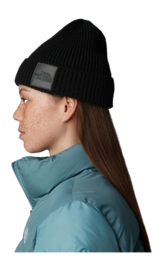 TNF-Logo-Box-Cuffed-Beanie (15)-_no-bg