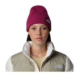 2---TNF-Logo-Box-Cuffed-Beanie (9)-_no-bg