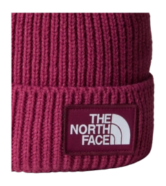3---TNF-Logo-Box-Cuffed-Beanie (10)-_no-bg