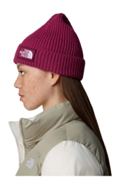 4---TNF-Logo-Box-Cuffed-Beanie (11)-_no-bg