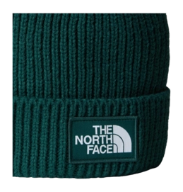 3---TNF-Logo-Box-Cuffed-Beanie (2)-_no-bg
