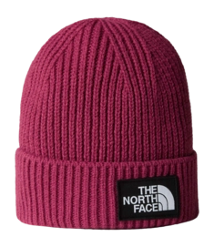 Beanie The North Face Kids Kids TNF Box Logo Cuffed Beanie Cyber Berry