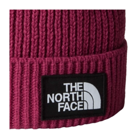 3---Kids-TNF-Box-Logo-Cuffed-Beanie (10)-_no-bg