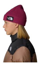 4---Kids-TNF-Box-Logo-Cuffed-Beanie (11)-_no-bg