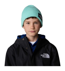 Kids-TNF-Box-Logo-Cuffed-Beanie (5)-_no-bg