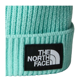 Kids-TNF-Box-Logo-Cuffed-Beanie (6)-_no-bg