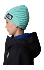 Kids-TNF-Box-Logo-Cuffed-Beanie (7)-_no-bg