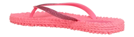 3---CHEERFUL01_310_2-_no-bg