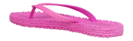 4---CHEERFUL01_399_3-_no-bg