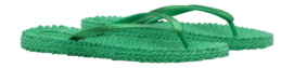 2---CHEERFUL01_493_0-_no-bg