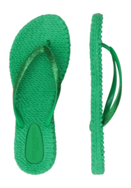 5---CHEERFUL01_493_4-_no-bg