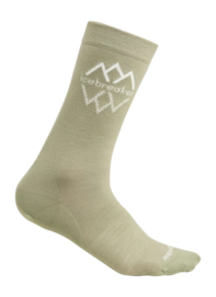 Wandersocken Icebreaker MerinoLifestyle Fine Gauge Crew Icebreaker Logo Reflections Lichen Snow