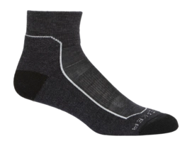 Chaussettes Icebreaker Homme Hike+ Light Mini Loden