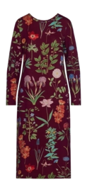 Nachthemd Essenza Damen Titia Marigold Burgundy