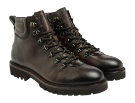 554205-3499-chestnut-cavair_002-_no-bg