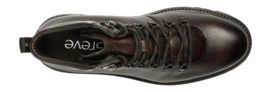 554205-3499-chestnut-cavair_003-_no-bg