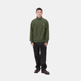 5---half-zip-american-script-sweatshirt-tarragon-653 (2)