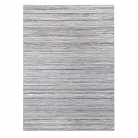 Buitenkleed Miloo Home Lotus Grey Blue (160 x 230 cm)