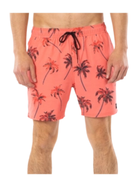 Zwemshort Rip Curl Men Beach Party Volley Red Regular Fit