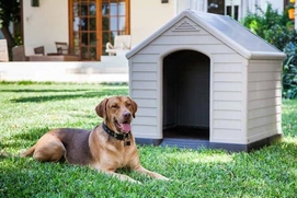 Hondenhok Keter Dog House