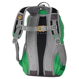Rugzak Jack Wolfskin Kids Moab Jam Seagrass