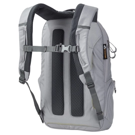 Rugzak Jack Wolfskin Flemington Alloy