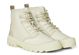 2---22570_fossil_1 (1)