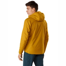 2---24477-Atom-LT-Hoody-M-Nucleus-Back-View-S20