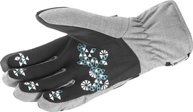 Handschoenen Salomon Element Dry Women Dove Grey Black