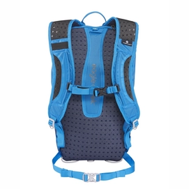 Rugzak Eagle Creek Asap Pack RFID Grape