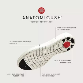 2---Anatomicush