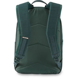 2---Dakine-Essentials-Pack-26L-Rucksack-mit-Laptopfach-Juniper-Rucksack-10002609-BACK-1280